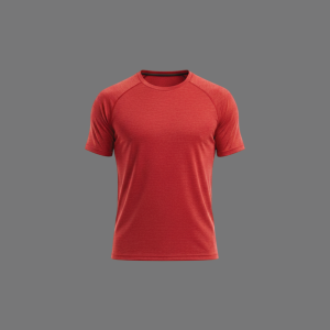Men's Activewear Tee Shirt