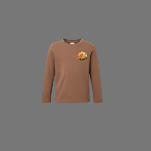 Baby's Full Sleeve Tee Shirt